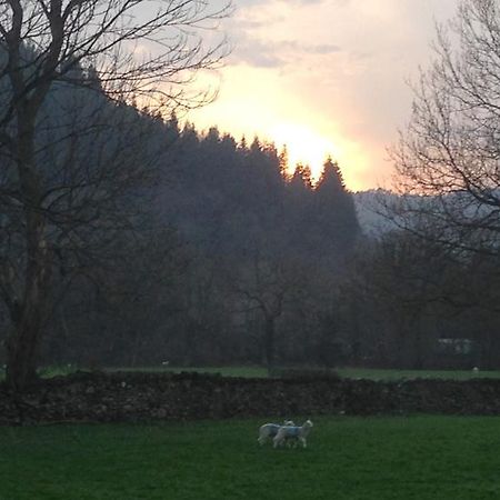 Tyddyn Bach Barn Villa Betws-y-Coed Bilik gambar